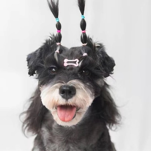 Dog Bone Rainbow Hair Clip Accessories - Picture 2 of 5